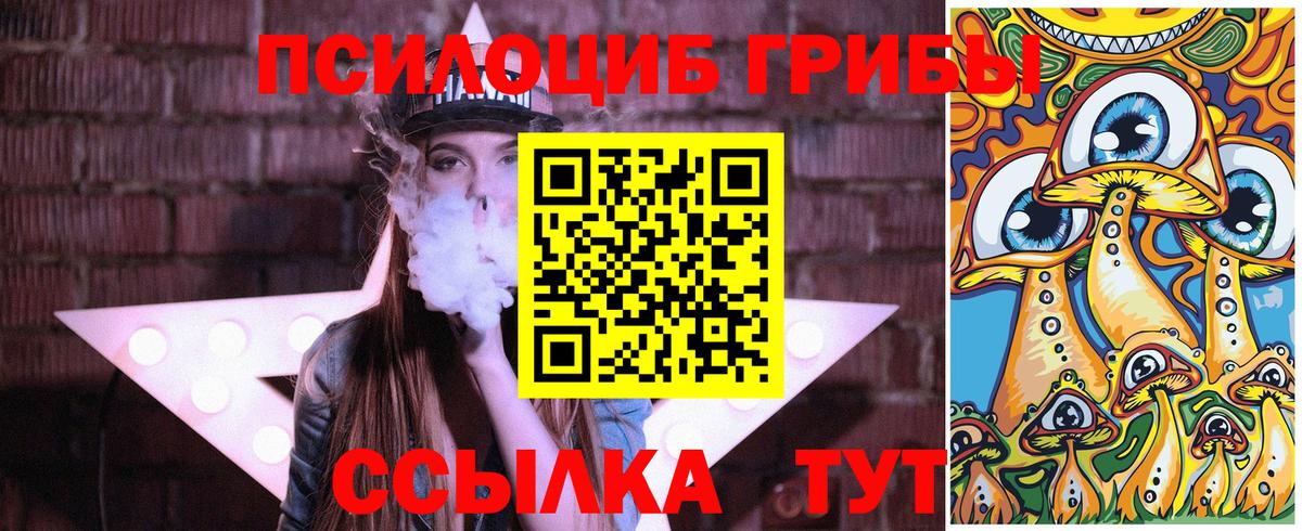Кызыл  Галлюциногенные грибы GOLDEN TEACHER  Вход с VPN  Псилоцибиновые грибы GOLDEN TEACHER 