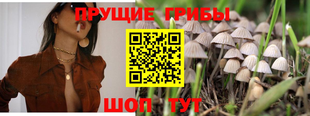 Псилоцибиновые грибы мицелий Кызыл